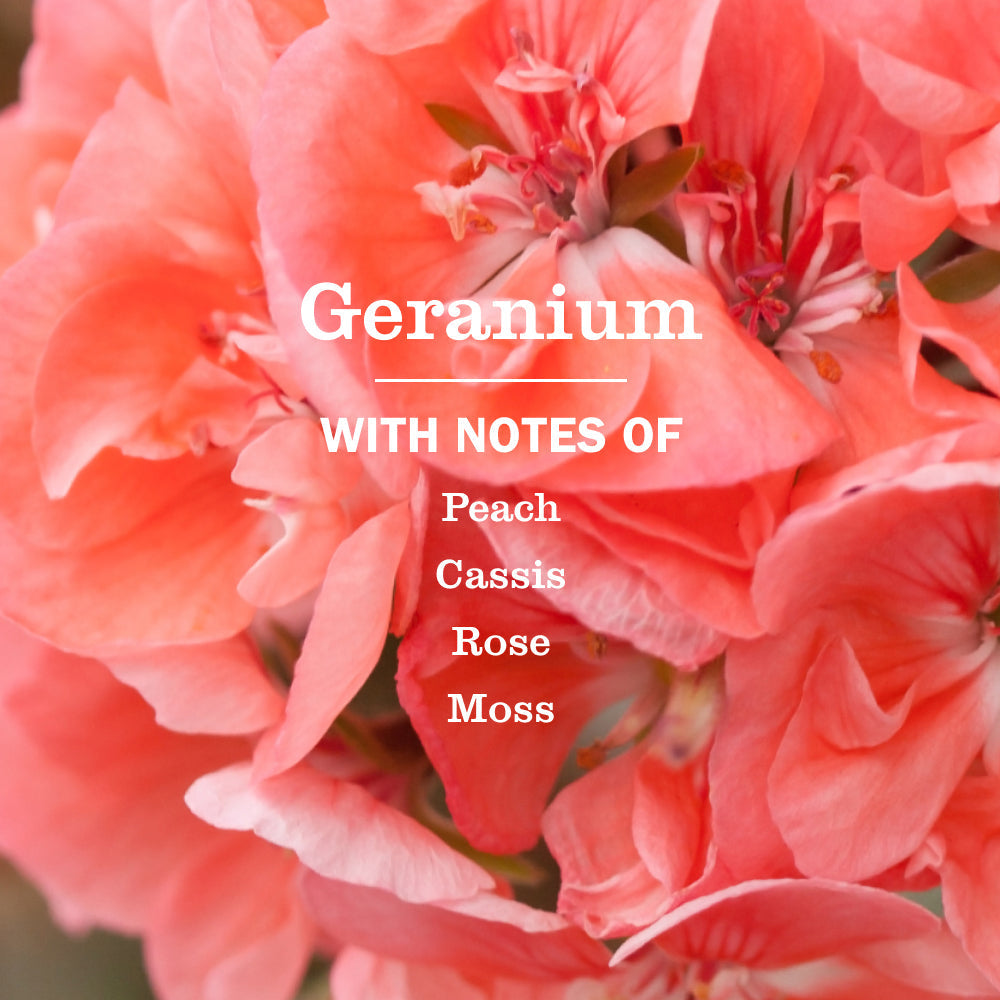 Mrs. Meyer's Geranium Multi-Surface Everyday Cleaner