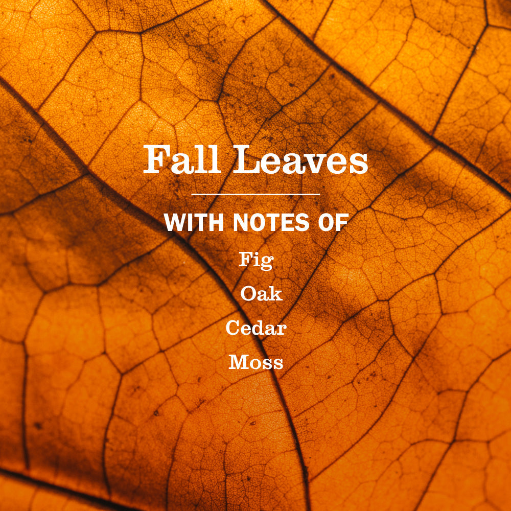 Mrs. Meyer's Fall Leaves Multi-Surface Everyday Cleaner 3-count Bundle