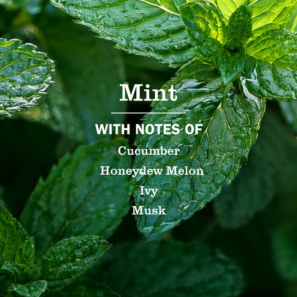 Mrs. Meyer's Mint Room Freshener