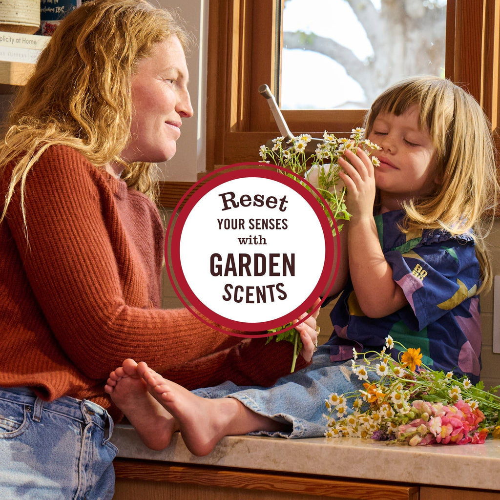 Rose Room Freshener | Mrs. Meyer's