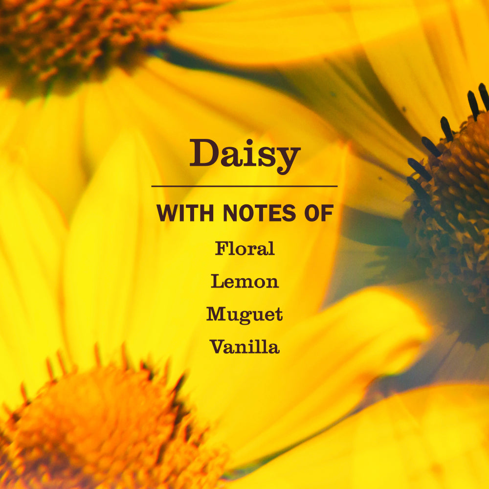 Mrs. Meyer's Daisy Multi-Surface Everyday Cleaner 3-count Bundle