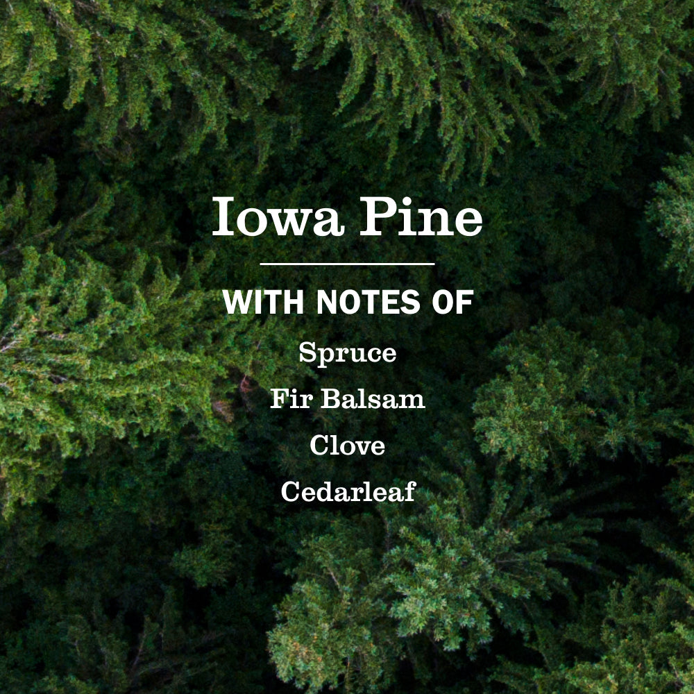 Mrs. Meyer's Iowa Pine Liquid Hand Soap 3-count Bundle
