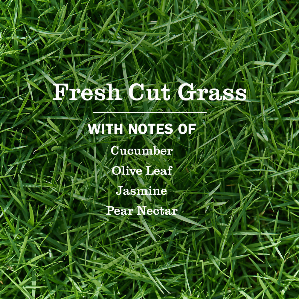 Fresh Cut Grass Hand Soap | Mrs. Meyer's